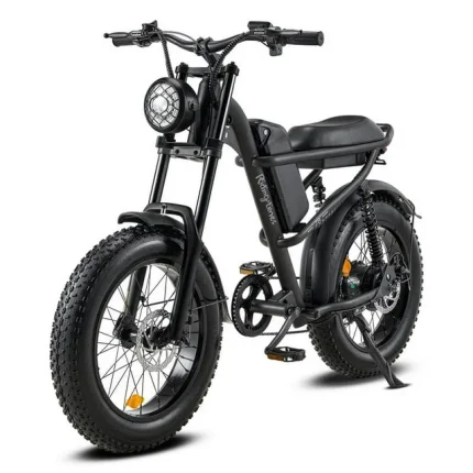 Ridingtimes Z8 Snow Ebikes for Adults, 20" Fat Tire, 1500W Motor, 28Mph, 6 Layer Full Suspension